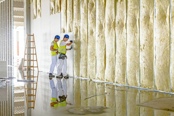 Best Basement Insulation  in Aberdeen, NC